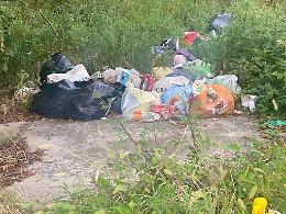 Rifiuti abbandonati lungo l'Adige: a Boara Polesine nemmeno il tempo di ripulire e torna il degrado