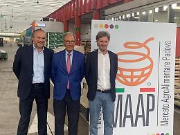 Padova, nuova collaborazione tra Maap, Calcio Padova e Pallavolo Padova