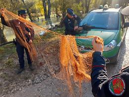 Grantorto, operazione anti bracconaggio: denunciato un 50enne