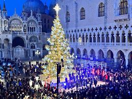 Acceso l'albero anche in Piazza San Marco, la magia del Natale avvolge Venezia