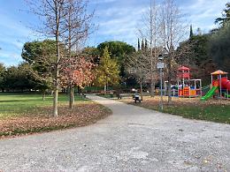 Il Comune di Bassano del Grappa investe per la messa a dimora di 46 nuovi alberi