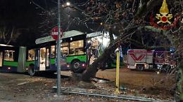Autobus Atv si schianta contro un albero in via Basso Acquar: nessun ferito
