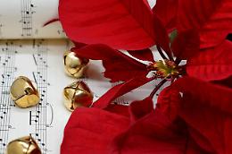 Aspettando il Natale a Verona: concerti nella prima e terza Circoscrizione