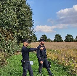 Polesine nella morsa dei bracconieri: il bilancio 2023 dei Carabinieri Forestali
