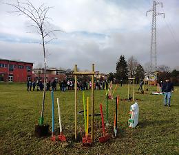 Padova, nuovi alberi, fiori e tulipani piantati dai bambini