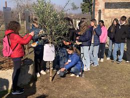 Giorno della Memoria a Verona: cerimonia commemorativa all'ex campo di smistamento di Montorio