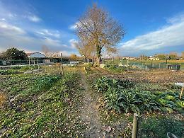 Una nuova recinzione per gli orti sociali di via Macello a Mogliano Veneto
