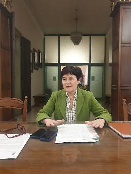 Il Comune di Rovigo ha presentato il primo Piano del Verde