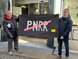 Da Legambiente bandiera nera per i pini abbattuti dal Comune di Adria
