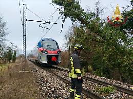 Maltempo: albero cade sulla linea ferroviaria Venezia-Bassano a Salzano