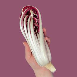 Il Consorzio del radicchio di Treviso stoppa i produttori americani