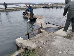 Da Porto Tolle a Rosolina per capire com'è strutturata una valle da pesca
