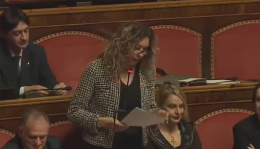 L'ex ministro Stefani (Lega): "Autonomia renderà più efficiente il paese"
