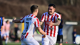 Calcio C, il Vicenza ingrana la quarta. Battuto il Renate 2-0