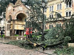 Padova, maltempo, tragedia sfiorata. Cade un grosso ramo davanti alla Prefettura