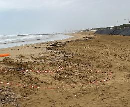 Jesolo, il maltempo porta una nuova mareggiata in Pineta