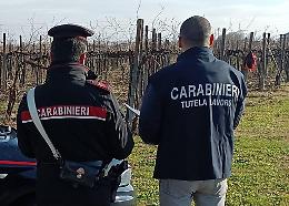 Lavoro nero e violazioni della sicurezza, sospese 6 aziende