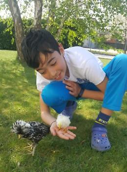 Damiano, orgoglio italiano: il 15enne di Villa del Conte è tra gli Alfieri della Repubblica premiati da Mattarella
