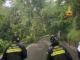 Caduti in strada due alberi per il maltempo: intervenuti i vigili del fuoco a Santorso