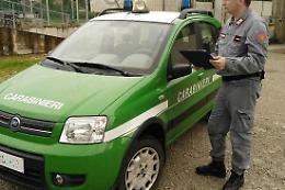 Sequestro di animali a Rovigo: intervento delle autorità per fermare un'accumulatrice seriale
