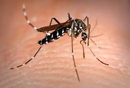 Rinvio per maltempo: interventi il 29 e 30 luglio dopo la segnalazione di un possibile caso di Chikungunya