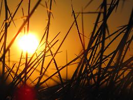 Settembre si veste d’estate: sole e caldo fino a martedì, poi torna la pioggia