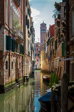 Venezia, scarsa igiene e scarafaggi tra le pizze: chiuso un locale