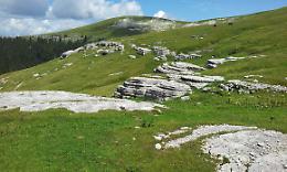 Tragedia sull'Altopiano di Asiago: Elena Montalto perde la vita in un dirupo, il suo cane la veglia per un giorno intero