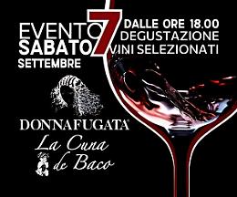 Un viaggio sensoriale di degustazione dei vini Donnafugata a La Cuna de Baco
