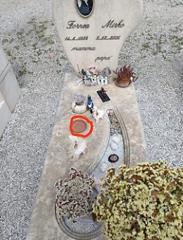 Fiori rubati dalla tomba di un giovane: il dolore di una famiglia 