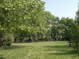 Ex serre di parco Querini: nuovi progetti sociali a Vicenza