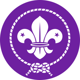 18mila capi scout a Verona per la route nazionale Agesci: un evento storico per il 50° anniversario dell'associazione