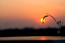 Caldo anomalo su Veneto e Friuli Venezia Giulia: temperature sopra la media fino ai primi di settembre