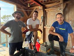 Ostra Bora: Nicola Baroni sfida il granchio blu con un progetto innovativo per l'allevamento di ostriche