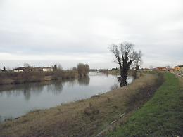 Chiusura straordinaria della strada arginale sinistra Adige a Cavarzere: lavori urgenti per infiltrazioni 