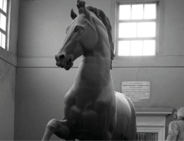 Restauro e ricomposizione del Cavallo colossale di Antonio Canova