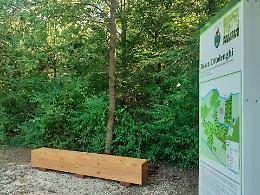 Bosco di Mestre, Comune al lavoro per riqualificare gli arredi