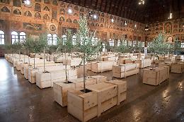 Presentata l' installazione EX IT di Yoko Ono al Palazzo della Ragione