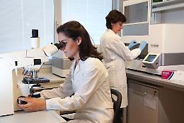 Università di Padova: un maxi incarico per la lotta ai tumori al polmone