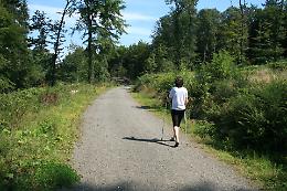 Il percorso di Nordic Walking di Adria: da fiore all'occhiello a giungla incolta