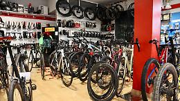 Spaccata alla Bikes Benato: terzo furto di bici di pregio in due mesi nel padovano