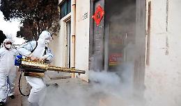 Rovigo lancia una disinfestazione straordinaria contro la zanzara tigre