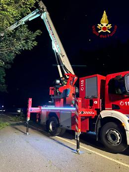 Interventi notturni a Schio:  rimossi rami e piante pericolanti nell'Alto vicentino 