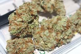 Arrestato pusher a Zero Branco: spacciava hashish e marijuana ai minorenni