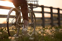 Scoprire il mondo su due ruote: l'evento che cambia la prospettiva del viaggio in bicicletta