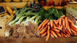 Vicenza, Noventa Vicentina celebra l'autunno con la "Mostra dei Prodotti Agroalimentari"