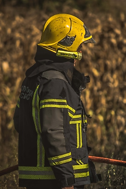Conegliano, 650 bambini incantati dai Vigili del Fuoco: il cane “J” si cala dal cielo in teleferica