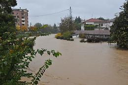 Maltempo a Vicenza: il Bacchiglione rientra nei limiti, allarme scongiurato