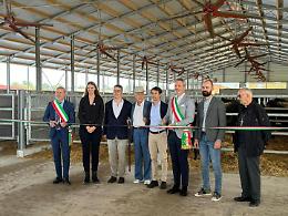 Inaugurata la stalla “Levante” alla tenuta Ca’ Negra: eccellenza nella produzione di carne Wagyu