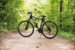 Alpago Bike Funtastic 2025: la mountain bike ritorna a Lamosano per una tappa cruciale degli internazionali d'Italia